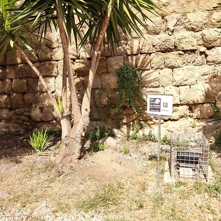 דירות טרקיניה La Torre מראה חיצוני תמונה